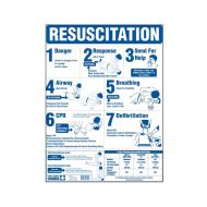 Resuscitation Chart Small Mono