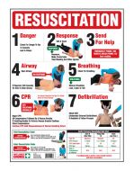 Resuscitation Chart Full Colour