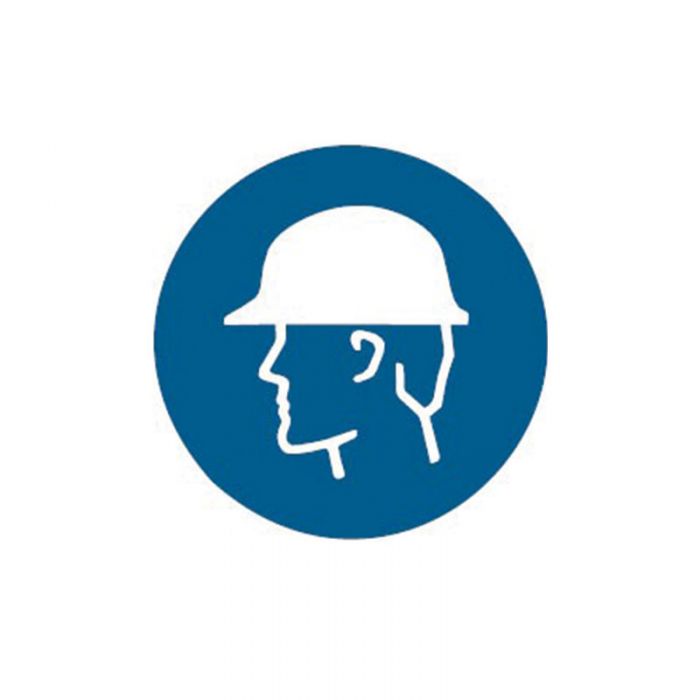 832144 Pictogram - Head Protection 