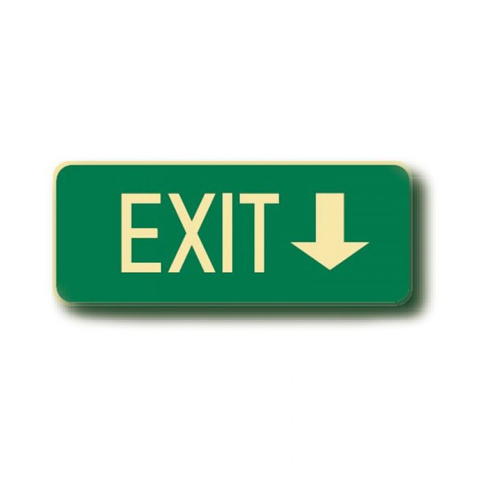 843310 Exit Floor Sign - Arrow Down 